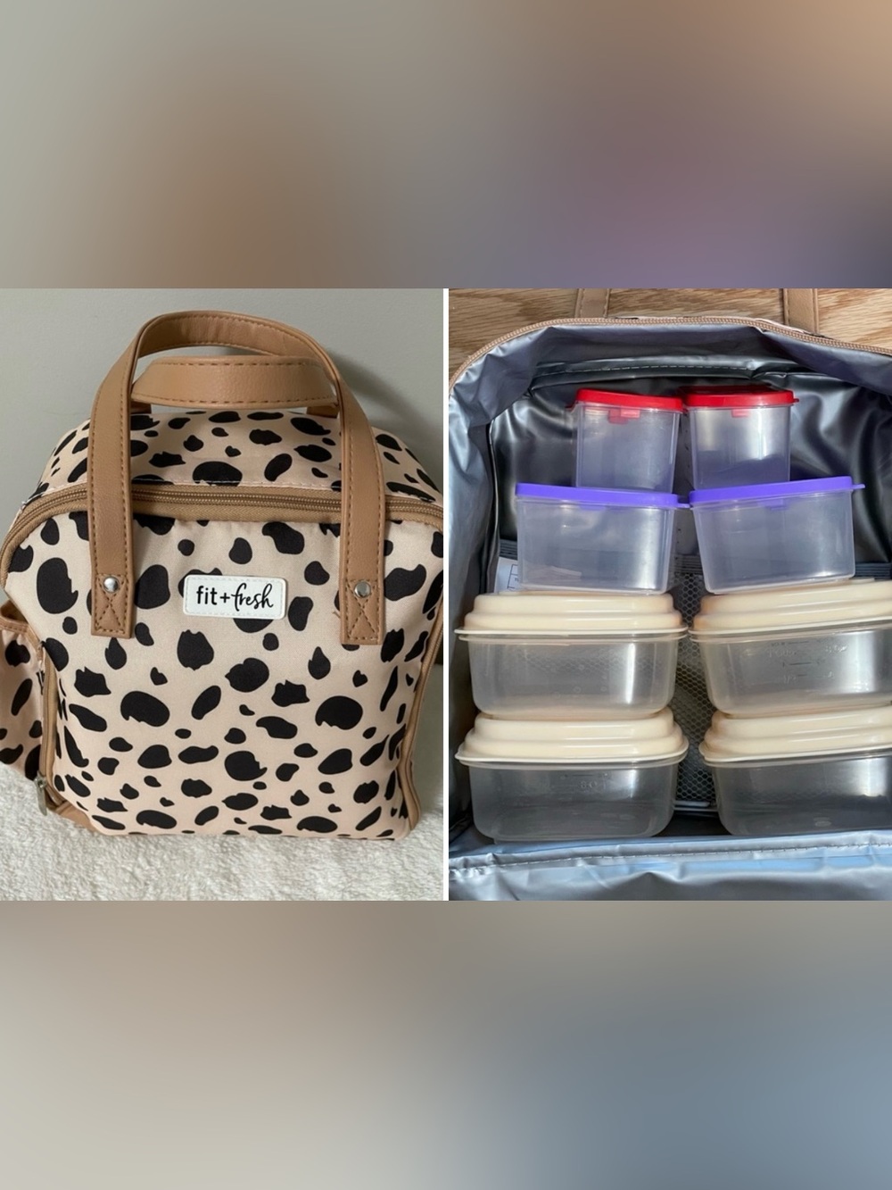 NWOT Fit & Fresh lunch bag & tupperware
